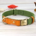 thumbnail image 2 of Didog Personalized Nylon & Leather Dog Collar Brass Buckle Name Engraved Custom S M L, 2 of 9