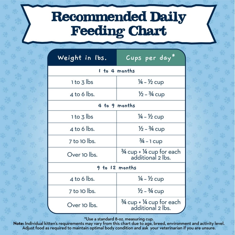 Feeding Schedule How Much Should A Newborn Kitten Eat Feeding