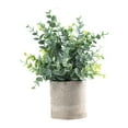 thumbnail image 1 of Plantas artificiales pequeñas en maceta Planta de imitación en maceta 6x9.4 pulgadas Plantas falsas pequeñas para Eucalipto, 1 of 9
