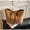 Khaki, variant on 2025 New Large Capacity Commuter Tote Women's All-Match Shoulder Simple Bag