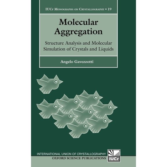 International Union of Crystallography M Molecular Aggregation: Structure Analysis and Molecular Simulation of Crystals and Liquids Iucr Monographs on Crystallog, Book 19, (Hardcover)