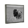 thumbnail image 4 of Stupell Industries Bison Grazing in Field Animals & Insects Photography Gray Floater Framed Canvas Art Print Wall Art, 21 x 17, 4 of 10