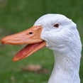 thumbnail image 6 of Cheers US Outdoor Family Duck Statue Mother Child Duck Children's Garden Statue for Garden Decoration, 6 of 7