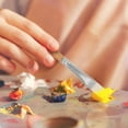 thumbnail image 3 of Shisuyan Short Handle Painting Brushes Assorted Color 6Pcs 5.8x1x1in, 3 of 9