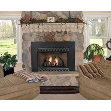 Vent Free Mv 28000 Btu Fireplace Insert Liquid Propane