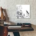 thumbnail image 5 of Epic Art ' Thoughtful Wattlebird' by Trudy Rice, Acrylic Glass Wall Art, 12"x12", 5 of 8
