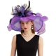 thumbnail image 1 of Women's Kentucky Derby Church Dress Hat Wide Brim Leaf Flower Bridal Shower Hat, 1 of 5