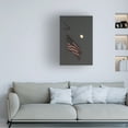 thumbnail image 3 of Kurt Shaffer Photographs 'American Flag In The Moonlight' Canvas Art, 3 of 4