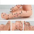 thumbnail image 5 of Infant Massage Training Model With Marked Acupoints Points For Infant Nursing, 5 of 11