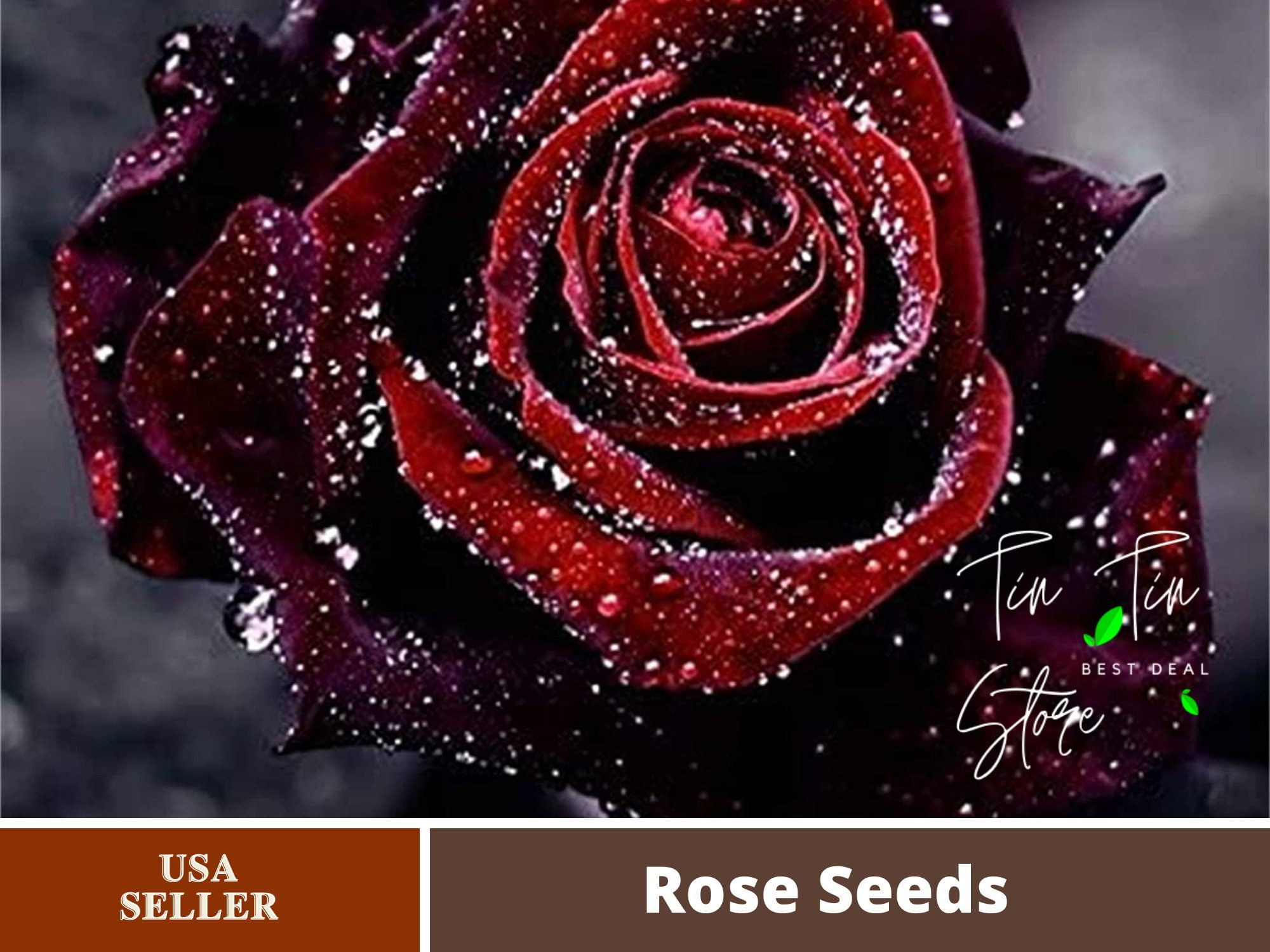 30 Rare SeedsTrue Blood Rose Seeds Bush Red Black 1078Authentic