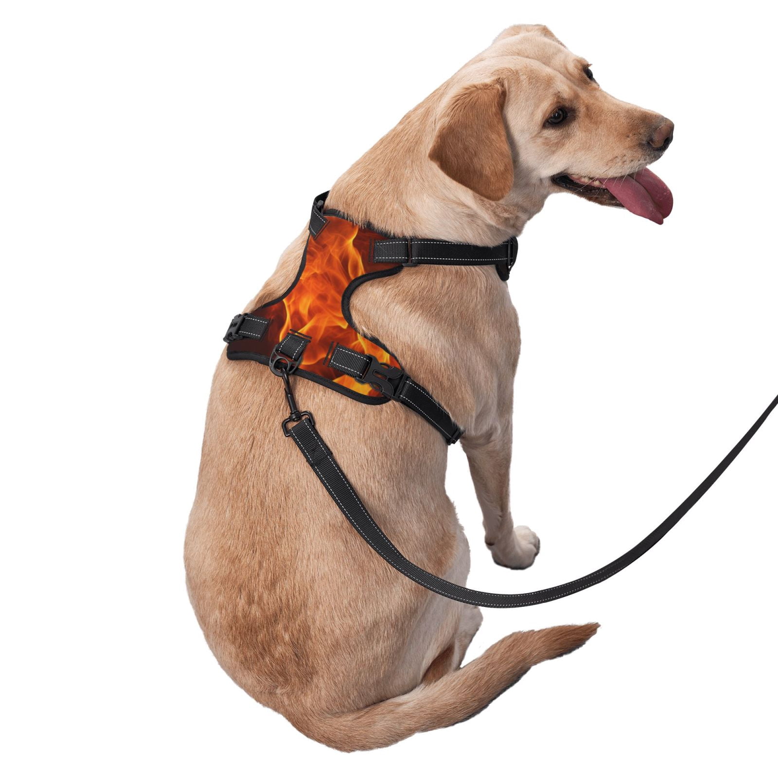 Fuzoiu Fiery Orange Flames Energy Print Reflective Dog Harness,Adjustable, Breathable Pet Vest,Dog Harness No Pull,No Choke Pet Vest for Small, Medium, and Large Dogs-Small