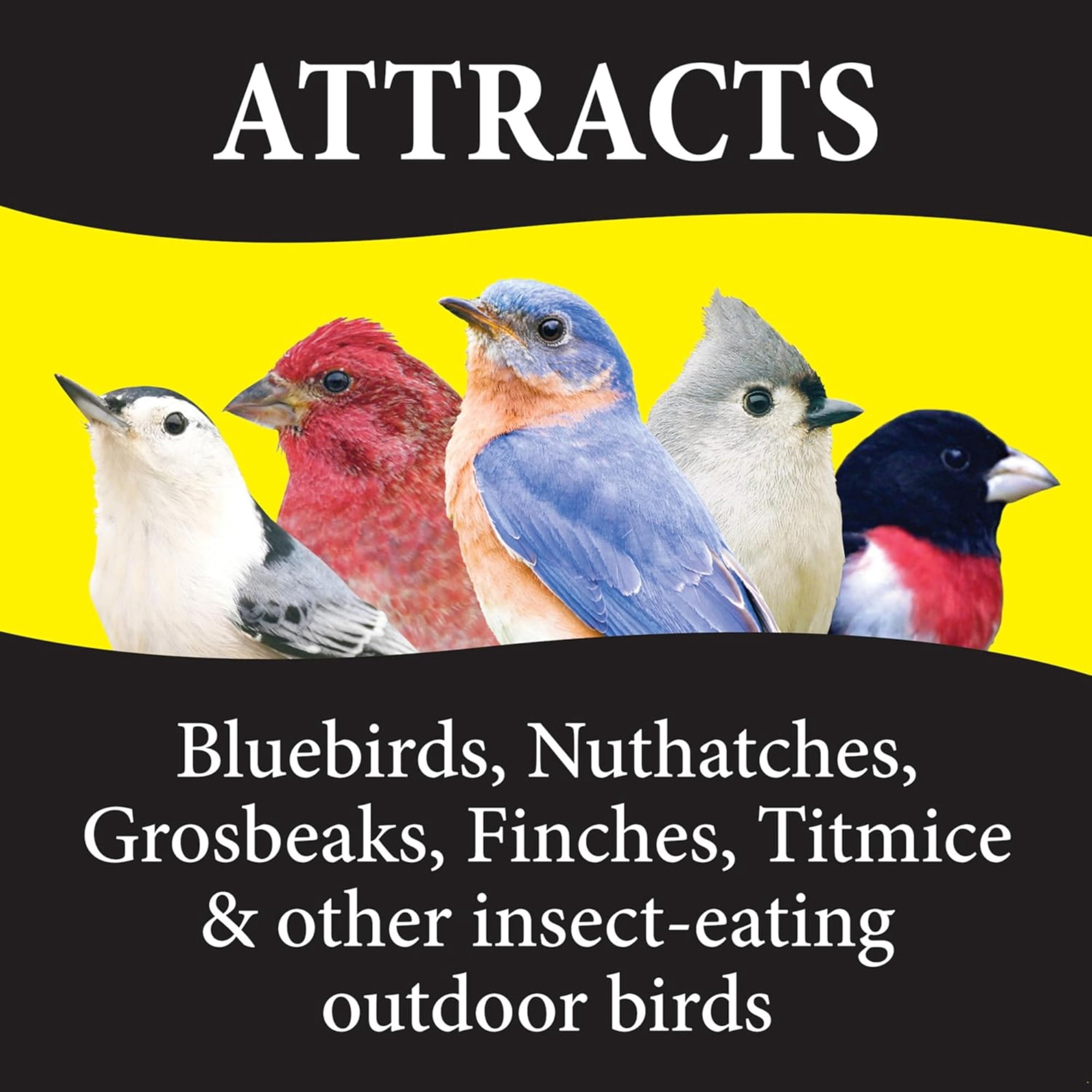 Wild Delight Advanced Formula Bugs N'' Berries Wild Bird Food, 4.5lbs - Premium 3-Bug Blend with Berries