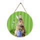 thumbnail image 1 of Adorno colgante de madera con diseño de conejito de Pascua redondo para patio, interior y exterior Estilo D, 1 of 9
