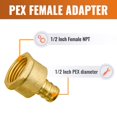 thumbnail image 4 of SUNGATOR 12-Pack PEX 1/2" x 1/2" NPT Female Threaded Adapter Crimp Fitting, Lead Free Brass, 4 of 15