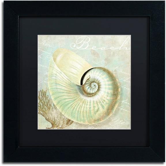 Trademark Fine Art "Turquoise Beach IV" Canvas Art by Color Bakery Black Matte, Black Frame