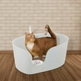 thumbnail image 3 of Richell Paw Trax High Wall Cat Litter Box Xl, Large High Sides Cat Litter Pan In White, 3 of 4