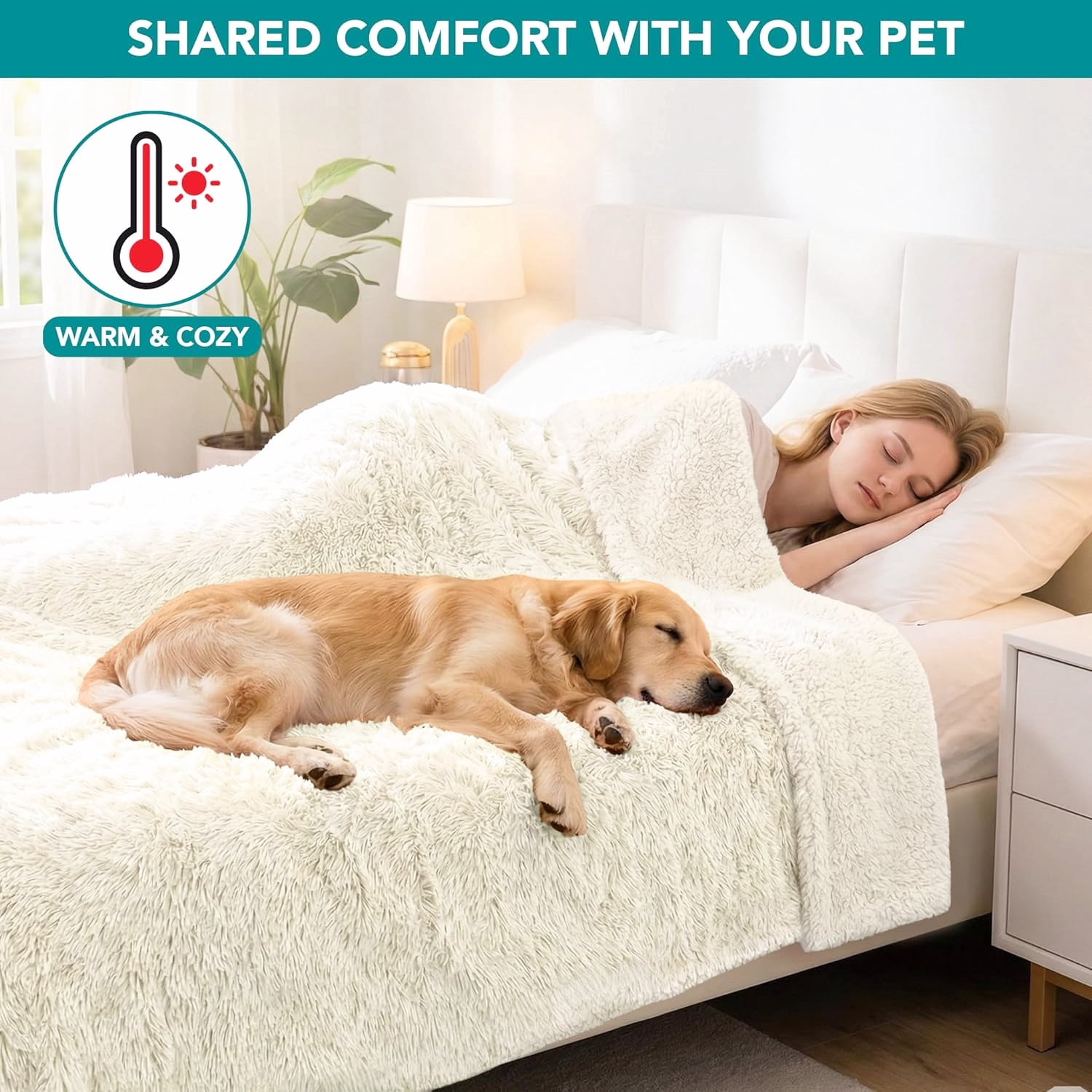 Ultra-Soft Pet Blanket in Cream Beige, Washable Protector for Large Dogs 60x80