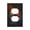Duplex, variant on Modern 1-Gang Single Gang Wall Plate Electrical Switch Cover Outlet Switchplate, Rose On Fire Burning Flaming