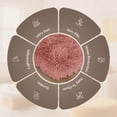 thumbnail image 4 of Moonlight20015 Area Rug 5x7ft non-slip Soft Fluffy Shaggy for Living Room Bedroom Décor Pink, 4 of 8