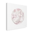 thumbnail image 2 of Trademark Fine Art 'Leafy Abstract Circle II Blush Gray' Canvas Art by Danhui Nai, 2 of 3