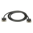 thumbnail image 1 of Black Box - DVI cable - DVI-D (M) to DVI-D (M) - 6 ft, 1 of 1