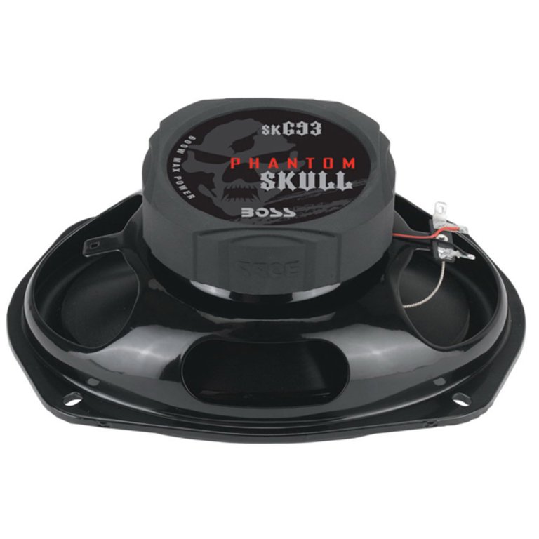 BOSS SKULL SK693 6x9