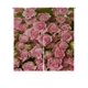 thumbnail image 1 of ABPHQTO Big Roses Twxture Japonés Noren Cortina Puerta Ventana Tratamiento Cortinas 85x90 cm, 1 of 1