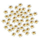 thumbnail image 3 of 50 horquillas de flores artificiales de plumeria, accesorios para gorros, pétalos, decoración artesanal hawaiana, frangipani de espuma blanca para el Diámetro 6 cm, 3 of 8