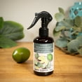 thumbnail image 2 of Scentsationals Room Spray Eucalyptus & Lime, 2 of 4
