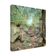 thumbnail image 3 of Canvas Wall Art - Sandra Iafrate 'Trail in Woods' Wall Art for Living Room, Bedroom, or Office Décor by Trademark Fine Art - 18 x 18 Inches, 3 of 4