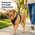 thumbnail image 2 of SDFTDG No-Pull Dog Harness with Handle Reflective Breathable Adjustable S-XL(L,Black), 2 of 9