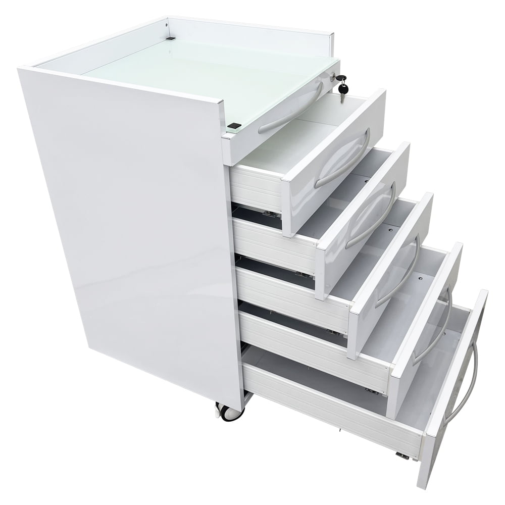 5 Drawers Dental Assistant's Mobile Cabinet Utility File Storage Moving Side Cabinet Stainless Steel with 2 Divider Brackets