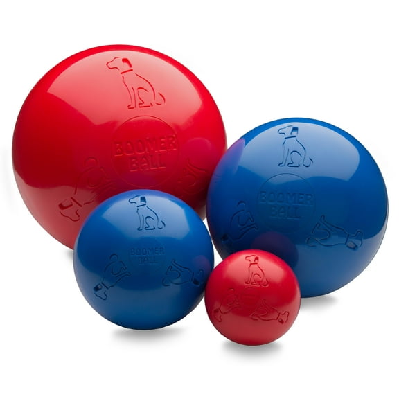 The Company of Animals Dog Boomer Ball, Large, Assorted Color