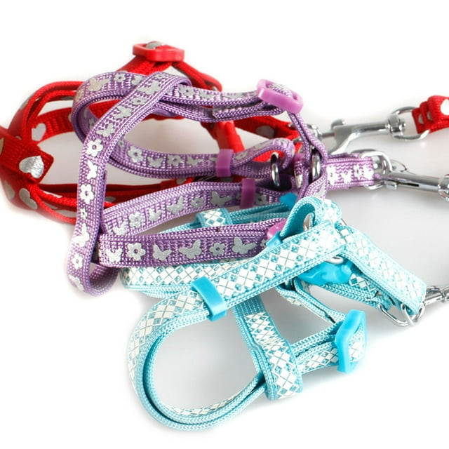 Phenofice Kitten Walking Leash Nylon Reflective 1Pack For Pet Owners