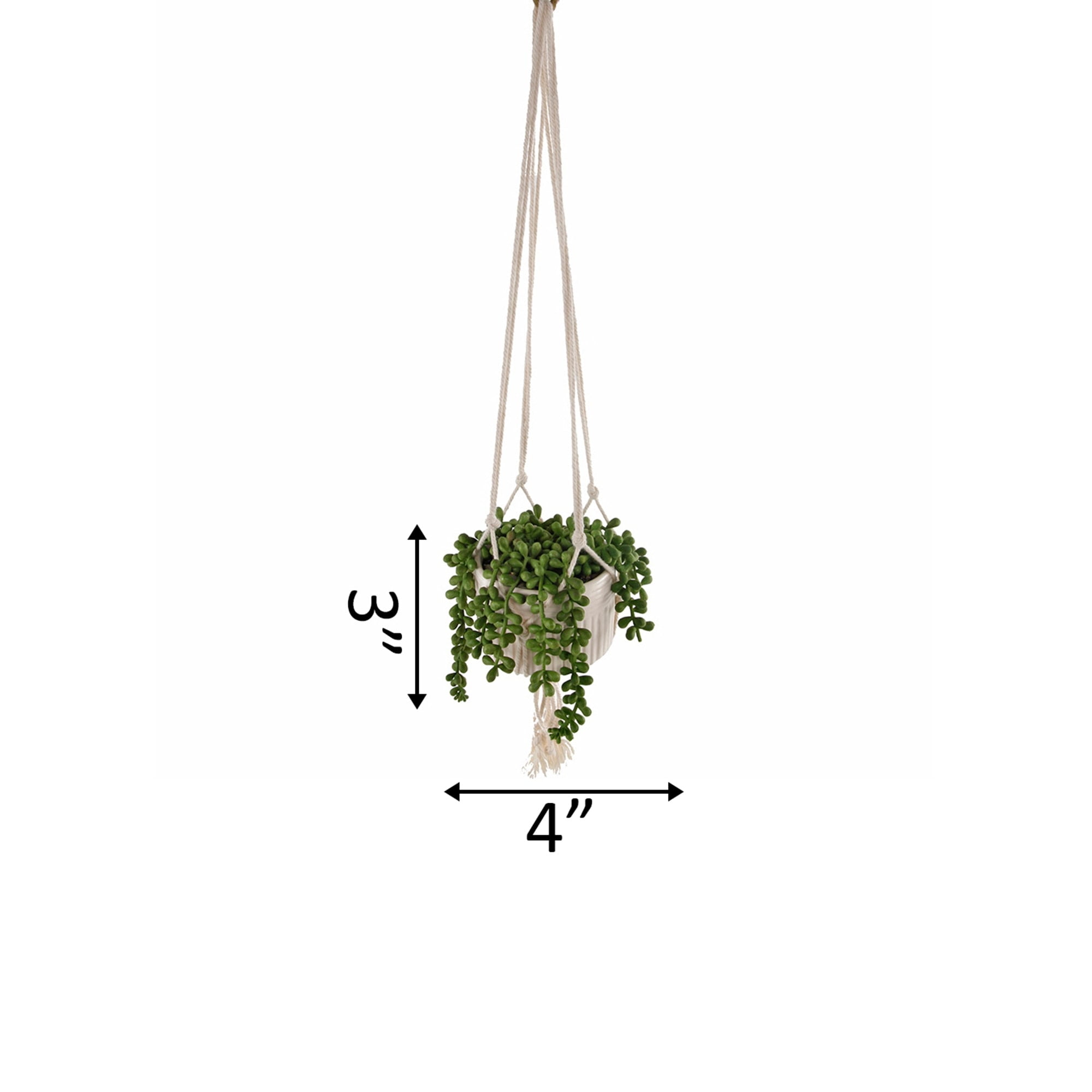 Flora Bunda Faux String of Pearl in 4" Macrame Hanging Ceramic Planter Donkey Tails Lover's Tear