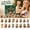 Monkey Advent Calendar, variant on MInHoues Monkey Magic Advent Calendar 2026, 24 Days of Christmas Countdown Calendar with 24Pcs 2D Acrylic Monkey Hanging Ornaments, Holiday Surprise Gift for Kids Adults Party Favor
