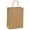 Brown, variant on 10x5x13 Kraft Shopping Bags 100Pcs Brown Paper Bags with Handles Bulk, for Gifts, Merchandise, Retail, Party Favor, Take-out, Grocery, Recycled Paper Gift Sacks