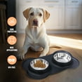 thumbnail image 3 of Double Dog and Cat Bowls with Anti-Overflow & Anti-Skid Food Mat, Ideal for Small Pets (Small), 3 of 5