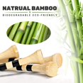 thumbnail image 2 of Camisetas de golf SAPLIZE Bamboo, 150 unidades (8,3 cm), biodegradables, 2 of 6