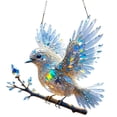 thumbnail image 7 of Acrylic Bird Suncatcher, Stained Glass Window Hanging, 6x6 Inch Colorful Bird Shape Suncatchers for Window Hanging Ornament, Perfect for Adding Beauty and Light to Any Space, 7 of 7