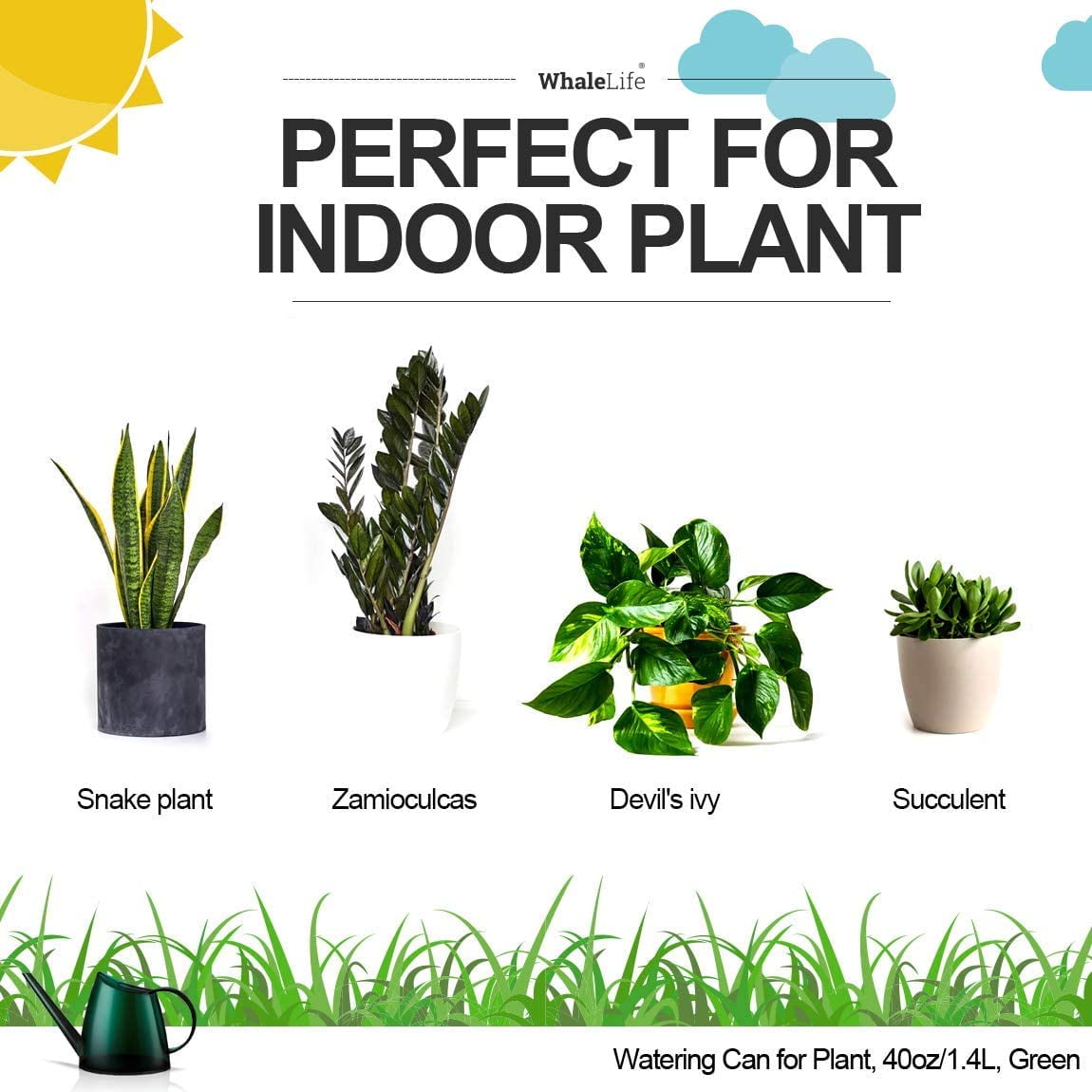 Small Indoor Watering Can for House Plants - Stylish Green Plastic Watering Pitcher with Long Spout for Potted Plants, Succulents, and Desk Gardens 1.4L