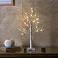 thumbnail image 5 of 24” 2FT 24LT Lighted Birch Tree Battery Powered Timer Warm White LED Artificial Branch Tree for Home Party Festival Wedding Decor, 2FT Table Tree Lamp, 5 of 5