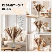 Sanmadrola 85 Pcs Natural Dried Pampas Grass Boho Home Decor Dried Flowers for Wedding Floral Arrangements Wall Bathroom Décor Spring Decor
