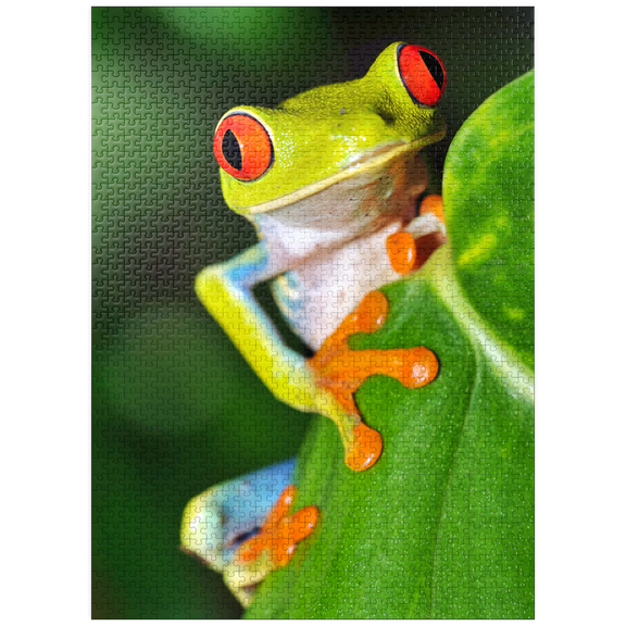 MyPuzzle - Green Tree Frog - Premium 1000 Piece Jigsaw Puzzle for Adults