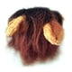 thumbnail image 1 of Traje de mascota para vacaciones Gato Sombrero de Halloween Perro Traje de Navidad - Traje de marinero para mascotas, Sombrero de león, Sombrero de Navidad oso de fresa  Juguete, 1 of 5
