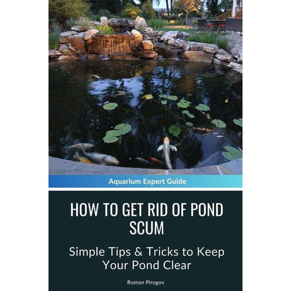 How to Get Rid of Pond Scum: Simple Tips & Tricks to Keep Your Pond Clear, (Paperback)
