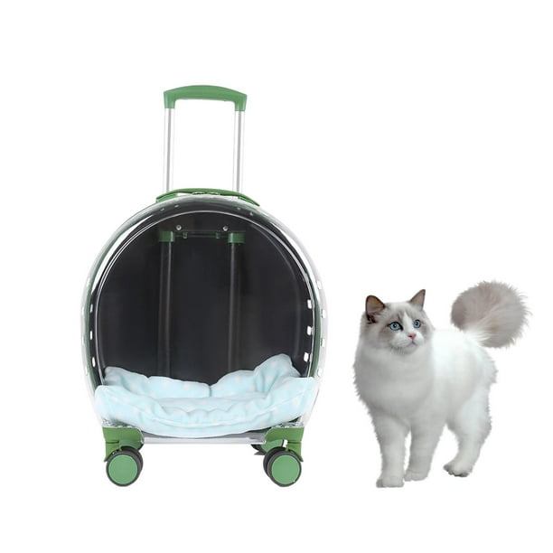 Cat carrier best sale walmart canada