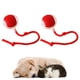 thumbnail image 1 of Divertidos para Gatos Rodante Automática Interactivos Interior (2 Unidades) Color Rojo, 1 of 9