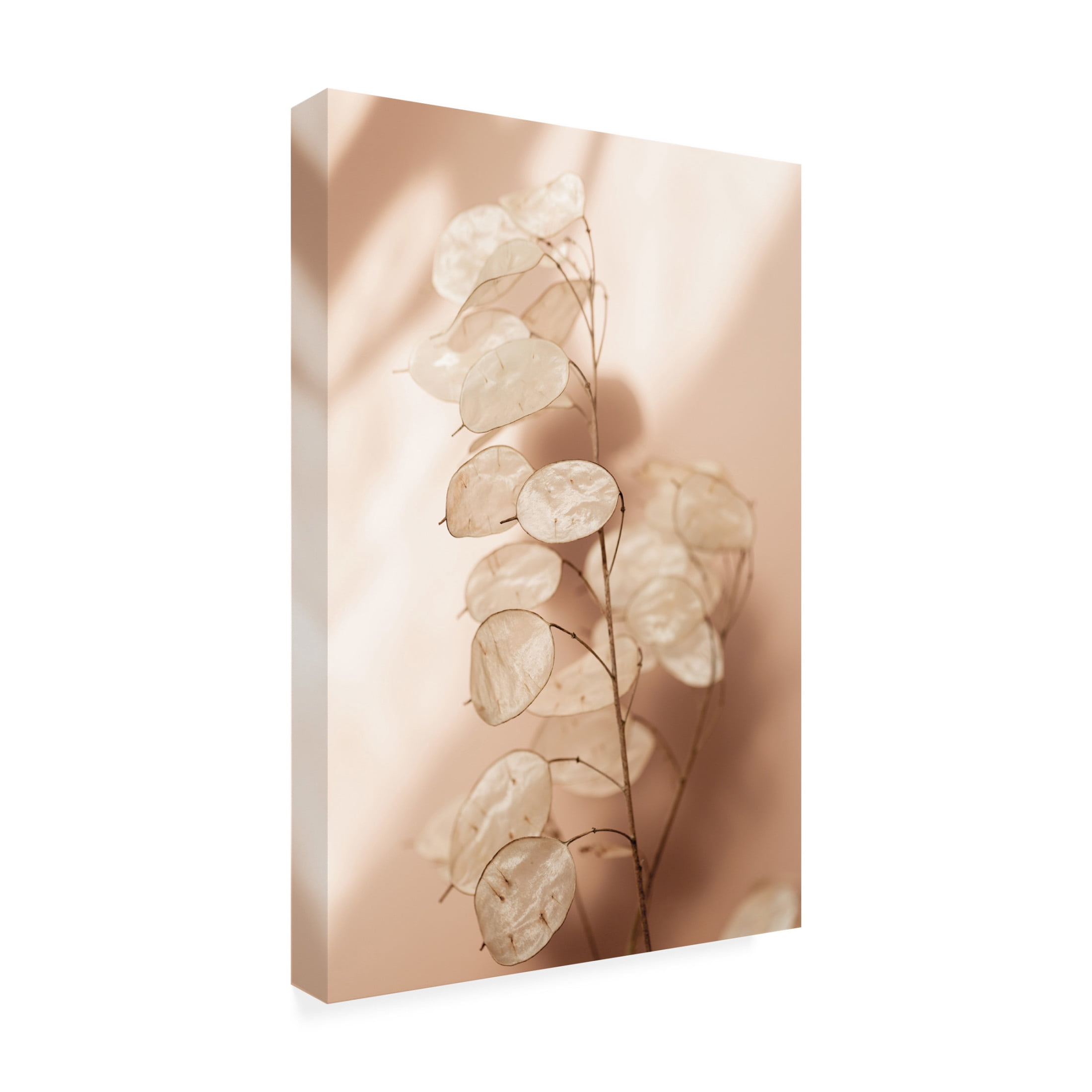 Trademark Fine Art Mareike Bohmer Last Summer 12 Canvas Wall Art