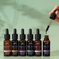 thumbnail image 2 of Plant Therapy Organic Tinctures Beginner Set 30 mL each of Organic Ashwagandha, Organic Asian Ginseng, Organic Echinacea Blend, Organic Elderberry, Organic Lemon Balm & Organic Turmeric, 2 of 8